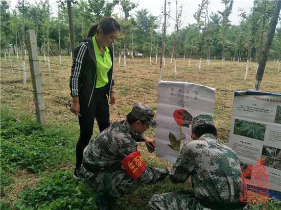 南邵镇禁毒社工李宁和森林消防官兵张贴禁毒宣传海报
