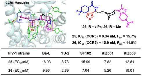 中国科研人员发现能有效抑制艾滋病毒的新型拮抗剂